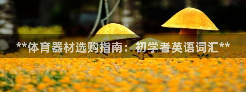 极悦平台与网易合作详情在哪