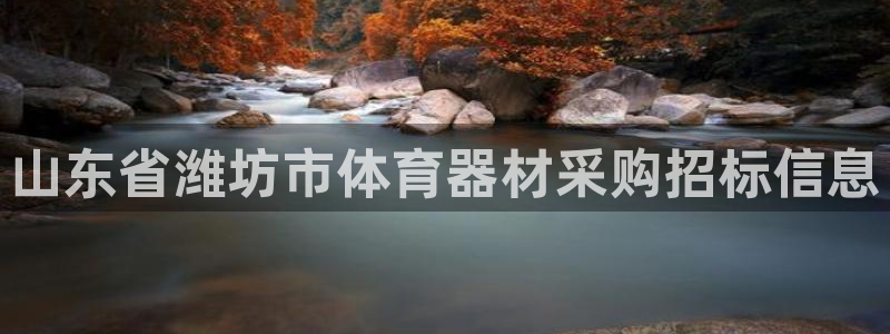 极悦平台登录最新版本更新内容是什么：山东省潍坊市体育