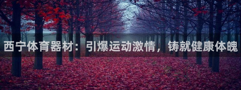极悦娱乐百科百度贴吧：西宁体育器材：引爆运动激情，铸