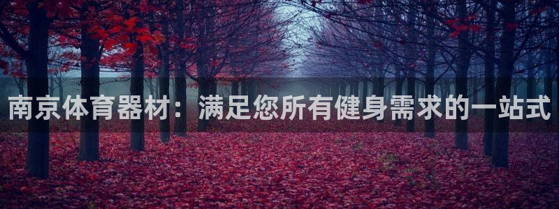 极悦平台注册流程详解图：南京体育器材：满足您所有健身