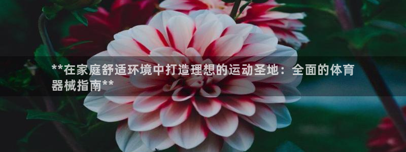 极悦娱乐官网最新版本更新内容视频：**在家庭舒适环境