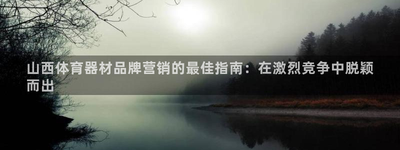 极悦官网入口登录网址：山西体育器材品牌营销的最佳指南