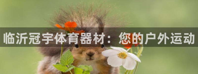 极悦平台网址皮皮虾下载：临沂冠宇体育器材：您的户外运