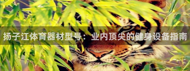 极悦娱乐部7O777：扬子江体育器材型号：业内顶尖的