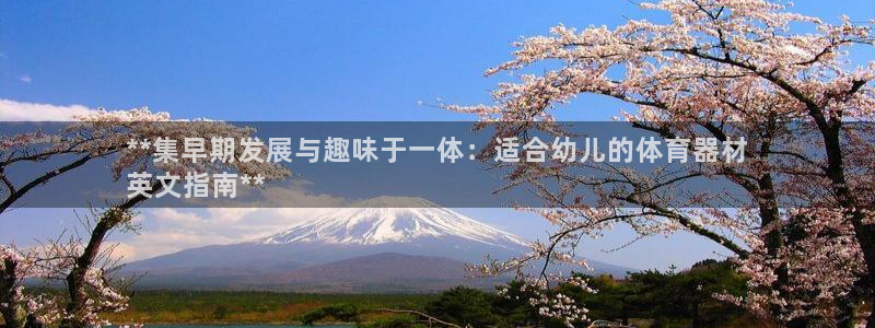 加盟极悦教育怎么样：**集早期发展与趣味于一体：适合