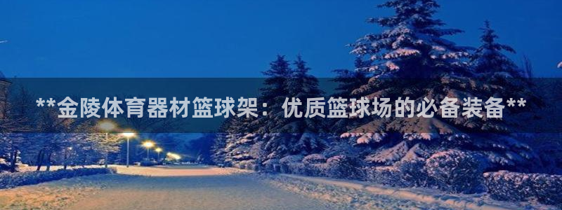 极悦平台注册流程详解图：**金陵体育器材篮球架：优质