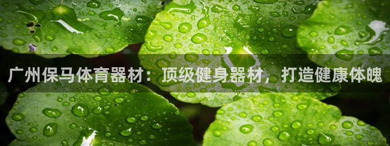 极悦平台官方网站入口链接下载：广州保马体育器材：顶级