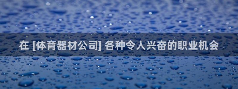极悦平台客服团队名称：在 [体育器材公司] 各种令人