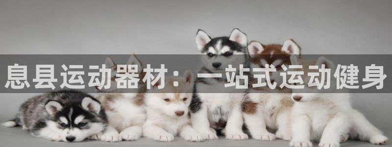 极悦娱乐现在叫什么：息县运动器材：一站式运动健身