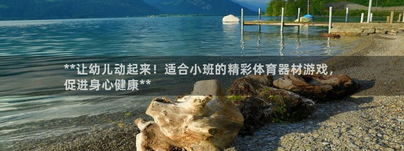 极悦平台的注册流程及注意事项是什么：**让幼儿动起来