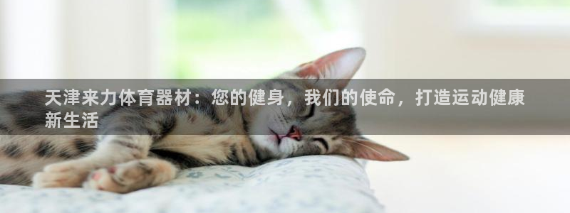 极悦平台app二维码怎么弄：天津来力体育器材：您的健