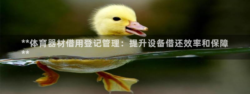 极悦平台的注册流程及注意事项：**体育器材借用登记管