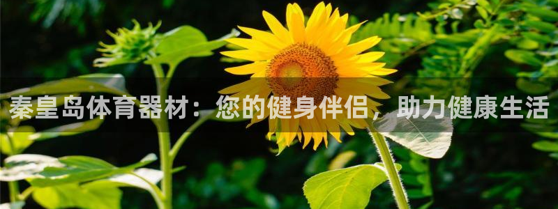 极悦娱乐分7O777：秦皇岛体育器材：您的健身伴侣，