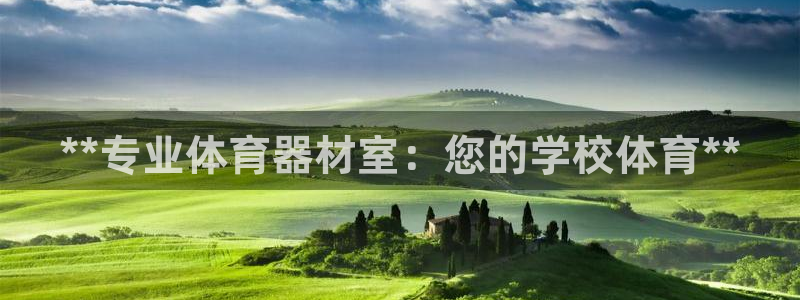 极悦平台代理怎么赚钱：**专业体育器材室：您的学校体