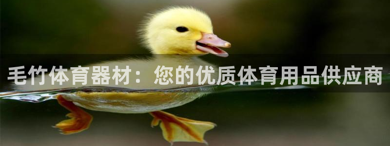 极悦娱乐会被骗吗是真的吗：毛竹体育器材：您的优质体育