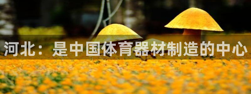 极悦娱乐官网下载安装：河北：是中国体育器材制造的中心