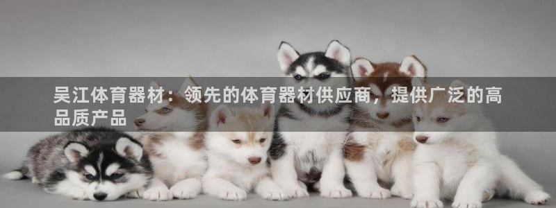 极悦平台注册官方网站下载：吴江体育器材：领先的体育器