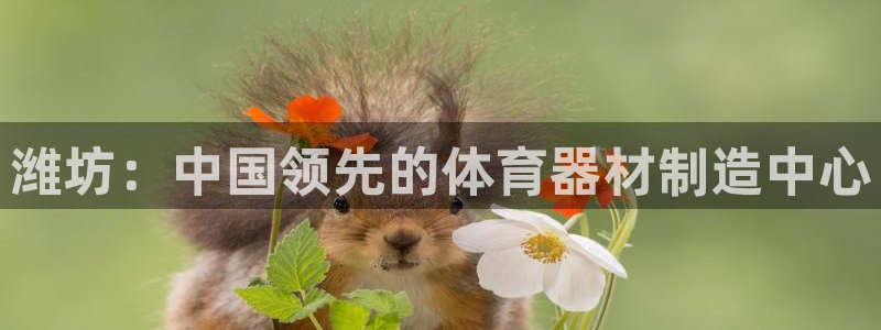 极悦娱乐：潍坊：中国领先的体育器材制造中心