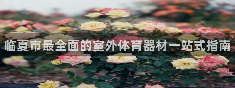 极悦平台官方网站入口下载：临夏市最全面的室外体育器材