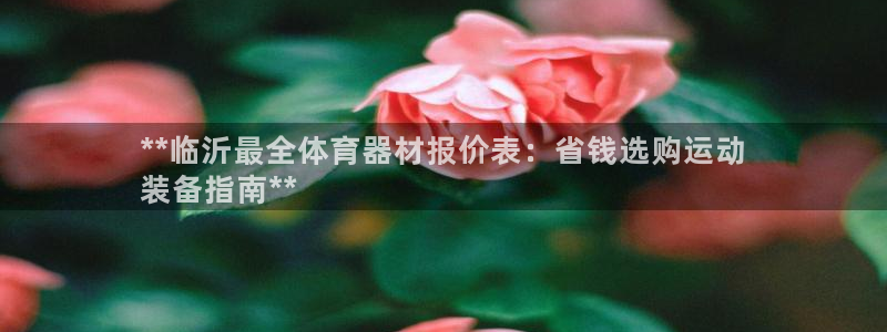 极悦娱乐的创始人背景故事简介：**临沂最全体育器材报