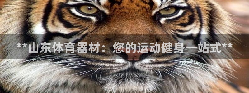 极悦平台注册官方网站下载安装手机版：**山东体育器材