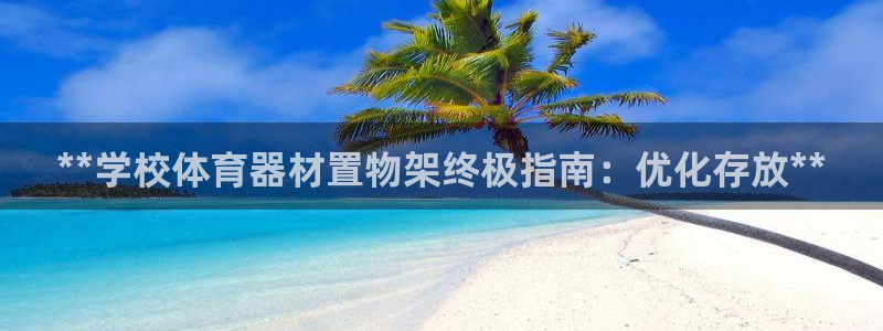 极悦平台是干什么的公司：**学校体育器材置物架终极指