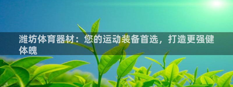 极悦娱乐百科百度：潍坊体育器材：您的运动装备首选，打