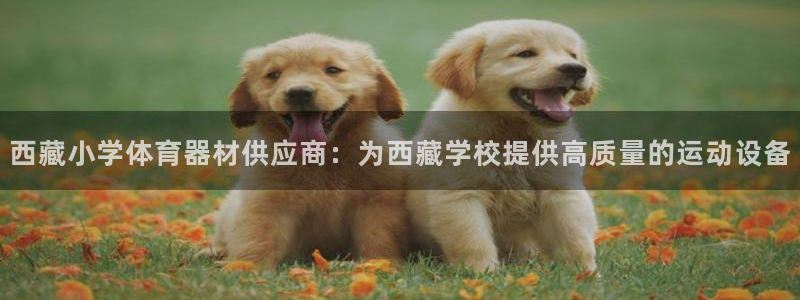 极悦娱乐的内部员工福利：西藏小学体育器材供应商：为西