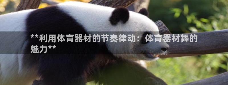 极悦平台登录方式是什么：**利用体育器材的节奏律动：