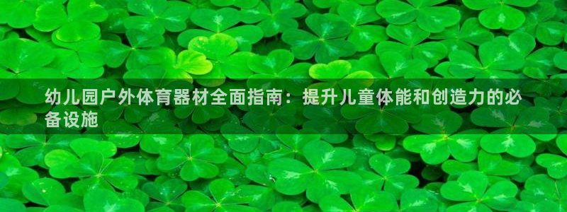 极悦平台官网入口网址：幼儿园户外体育器材全面指南：提