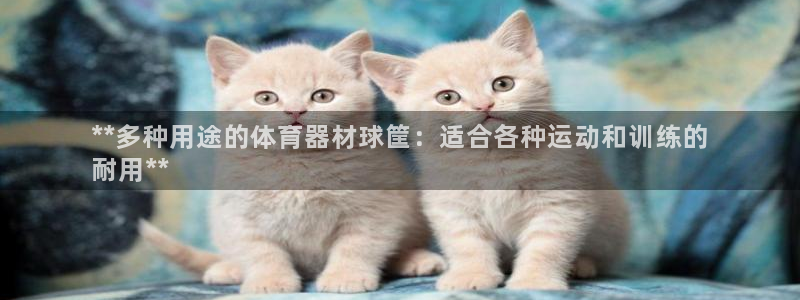 极悦生活家是什么平台的产品：**多种用途的体育器材球