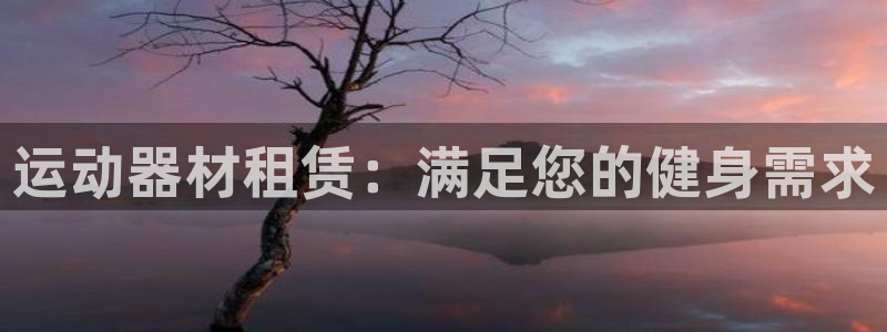 极悦官方网站：运动器材租赁：满足您的健身需求