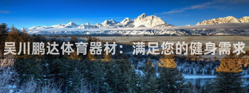 极悦平台注册用户名验证不了：吴川鹏达体育器材：满足您