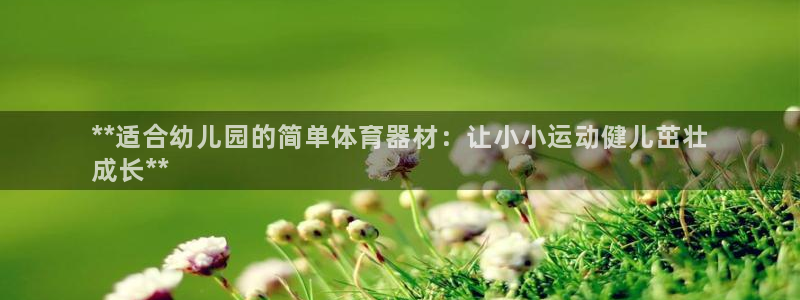 极悦平台官方网址：**适合幼儿园的简单体育器材：让小
