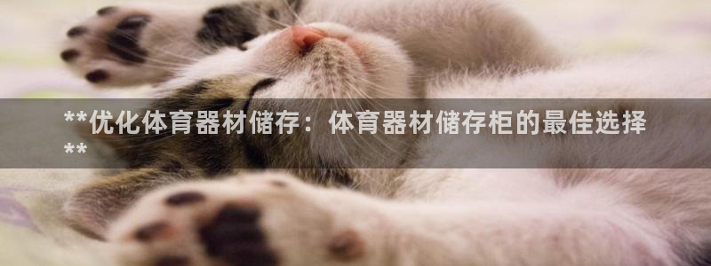 极悦娱乐挂机赚钱是真的吗吗：**优化体育器材储存：体