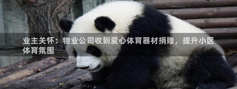 极悦平台是什么：业主关怀：物业公司收到爱心体育器材捐