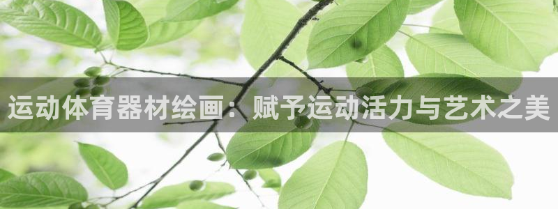 极悦平台登录方式：运动体育器材绘画：赋予运动活力与艺