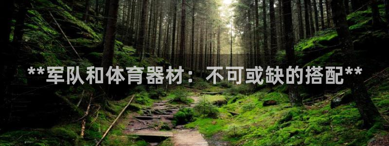 极悦平台官网登录不了怎么回事：**军队和体育器材：不