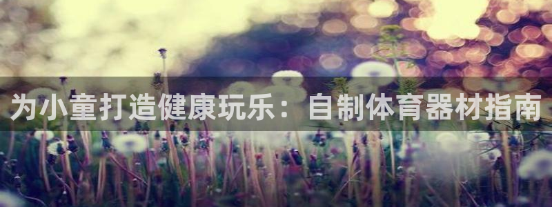 极悦平台代理怎么做：为小童打造健康玩乐：自制体育器材