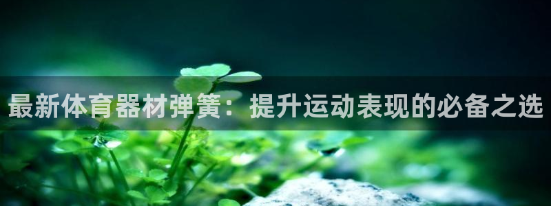 极悦平台用户评价：最新体育器材弹簧：提升运动表现的必