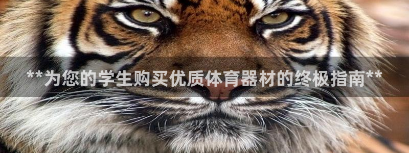 极悦平台安全吗是真的吗：**为您的学生购买优质体育器