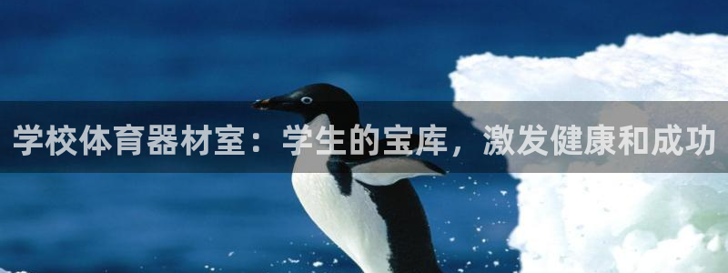 极悦平台注册太7.0.2.4怎么解决：学校体育器材室