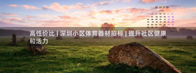 极悦官网旗舰店是正品吗：高性价比 | 深圳小区体育器