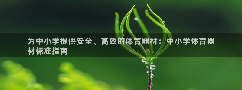 极悦平台注册失败如何解决：为中小学提供安全、高效的体