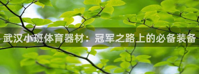 极悦官网入口登录：武汉小班体育器材：冠军之路上的必备