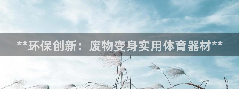 极悦平台代理电话：**环保创新：废物变身实用体育器材
