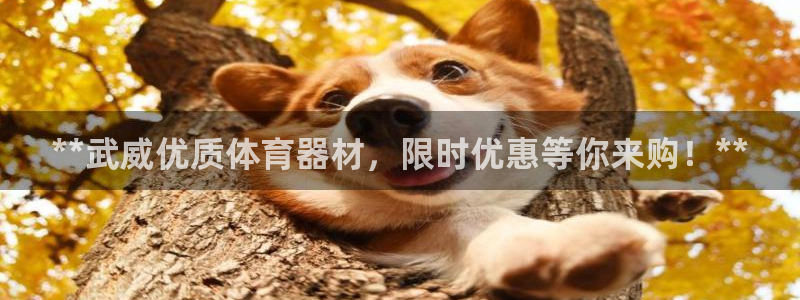 极悦平台注册申请流程详解图：**武威优质体育器材，限