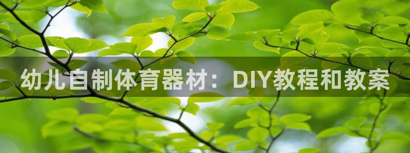 极悦平台使用注意事项有哪些：幼儿自制体育器材：DIY