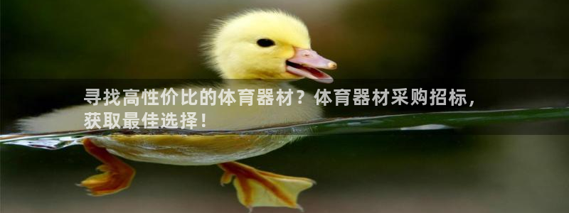 极悦平台官网下载中心app：寻找高性价比的体育器材？