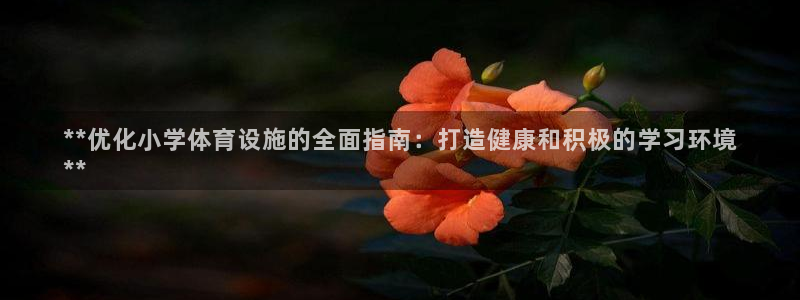 极悦娱乐旗下艺人名单：**优化小学体育设施的全面指南